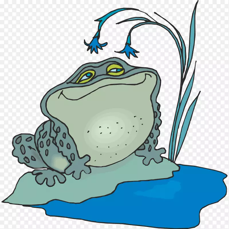 蟾蜍青蛙重要窗户图元夹艺术青蛙