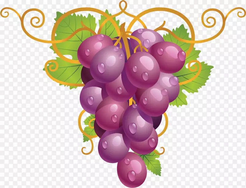 普通葡萄酒葡萄叶剪贴艺术葡萄酒