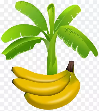 香蕉园香蕉叶剪贴画-香蕉