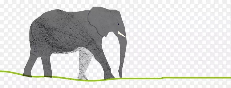 印度象非洲象粉碎动物象