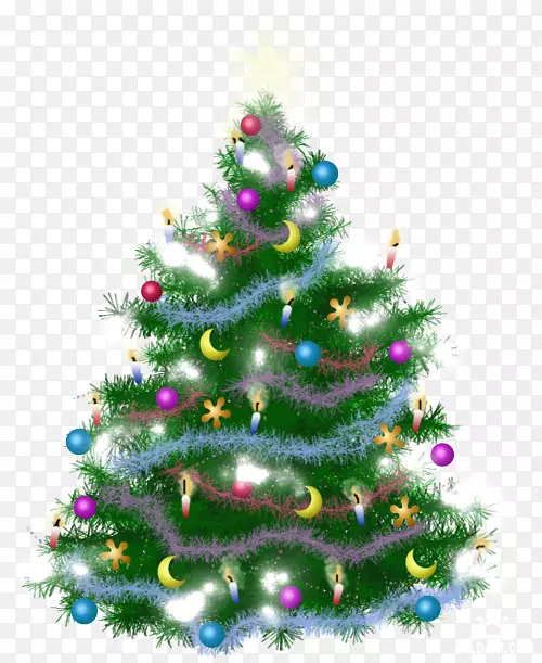 圣诞树，圣诞树装饰，云杉，松树，圣诞树