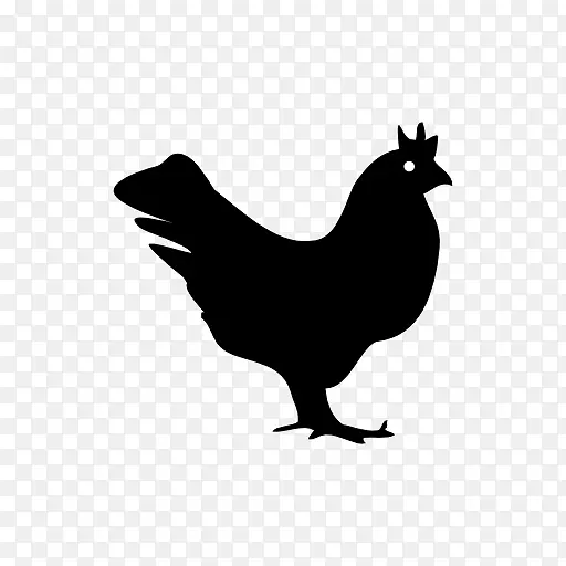 鸡作为食物填充物家禽养殖-鸡