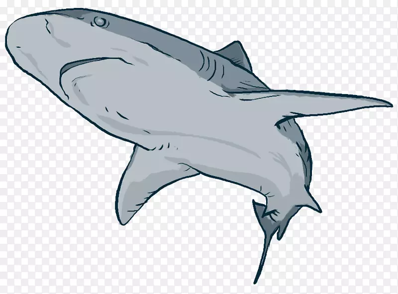 虎鲨图库溪海洋生物甲壳动物海洋自然海洋动物海洋微生物