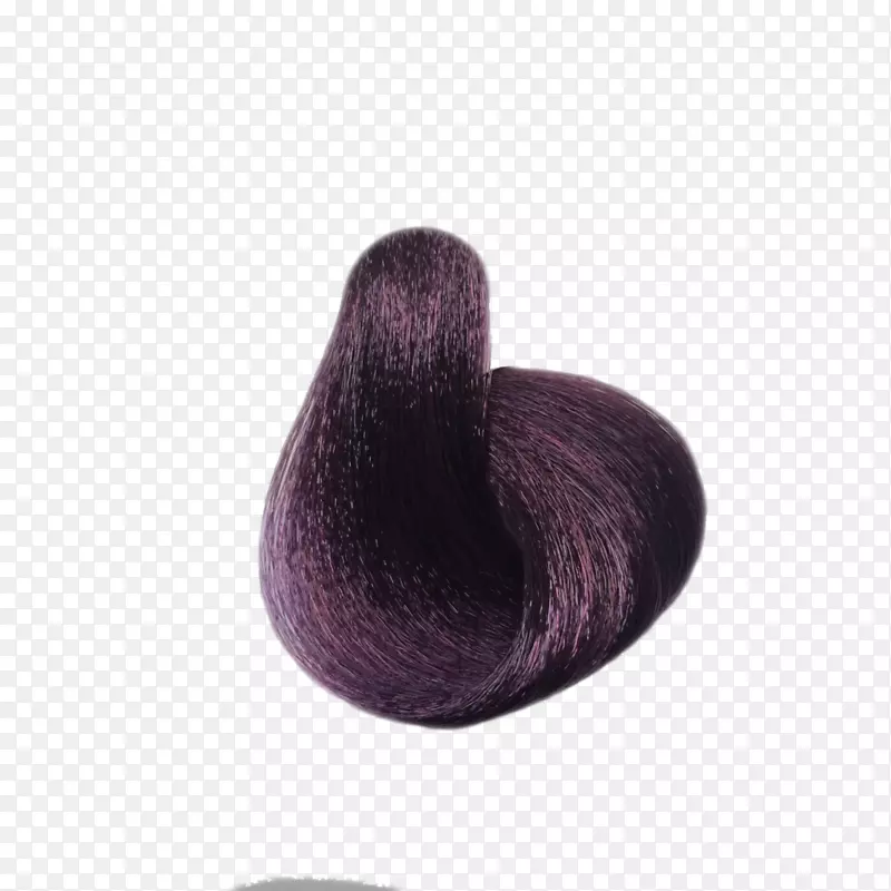 紫板栗