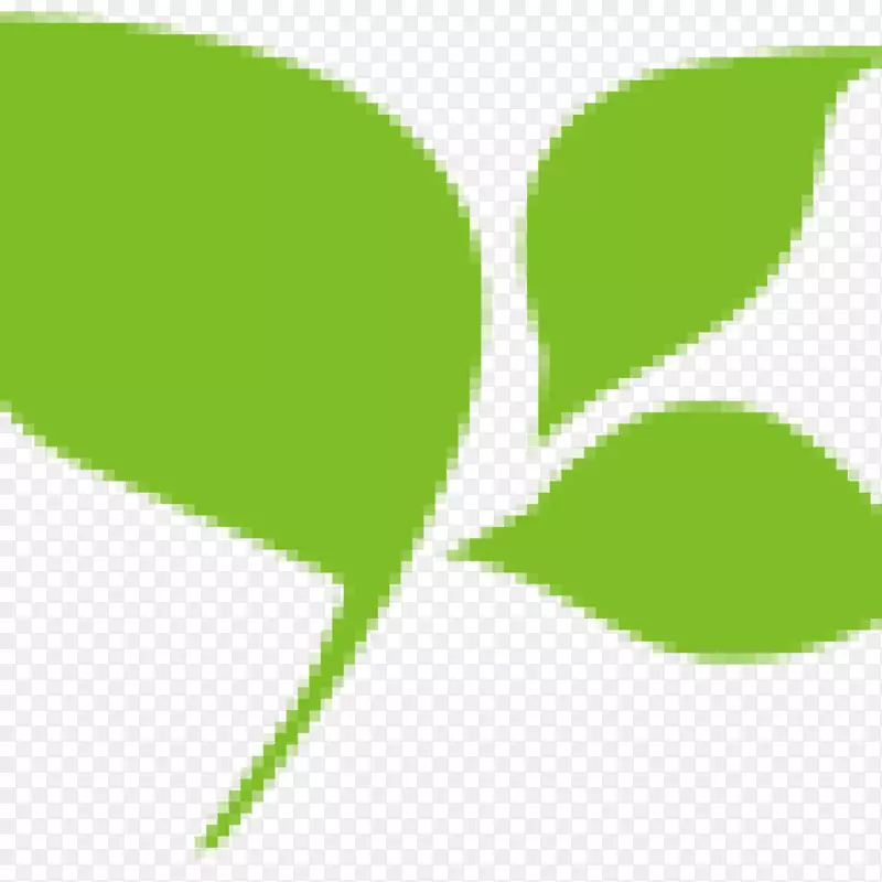 叶植物茎绿色环保字体