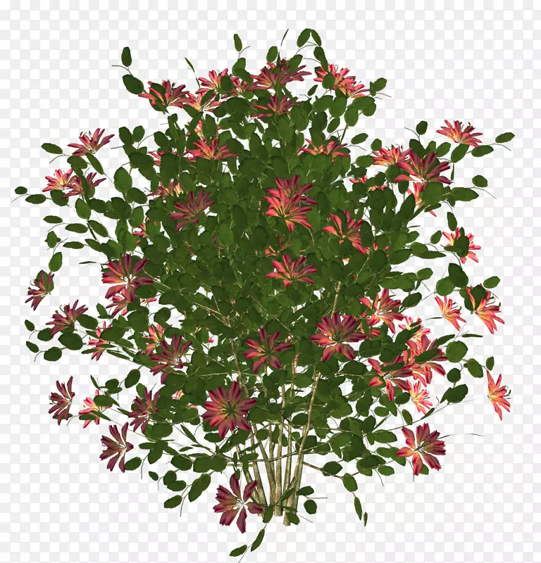 花卉三维渲染图片.盆栽植物
