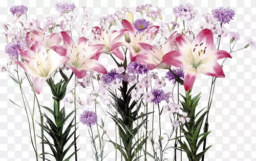 花卉设计切花花束百合花