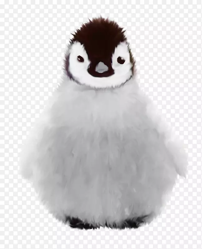 企鹅冬季-企鹅