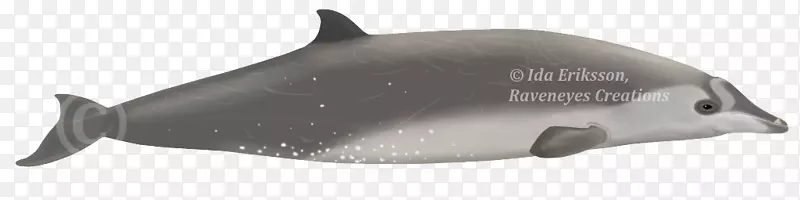 江豚海豚鲸鱼海豚