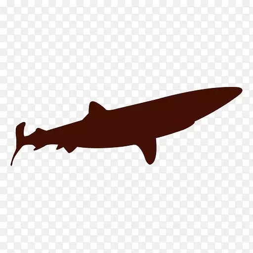 鲨鱼阴影封装的后记-鲨鱼
