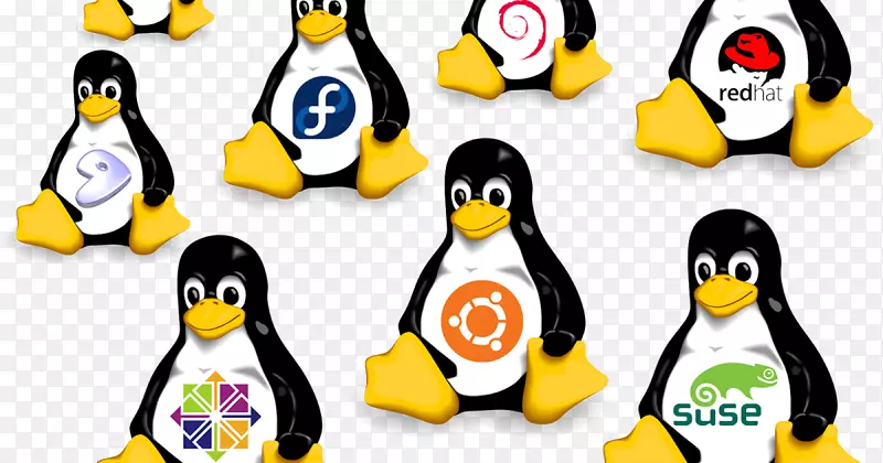 linux发行操作系统开源软件计算机软件linux