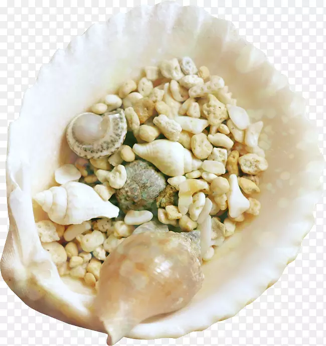 贝壳动画电影剪辑艺术-贝壳