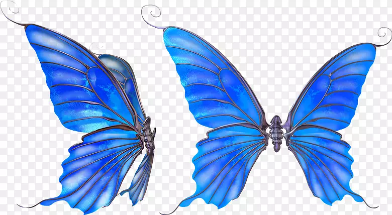 蝴蝶标准试验图像剪辑艺术-蝴蝶