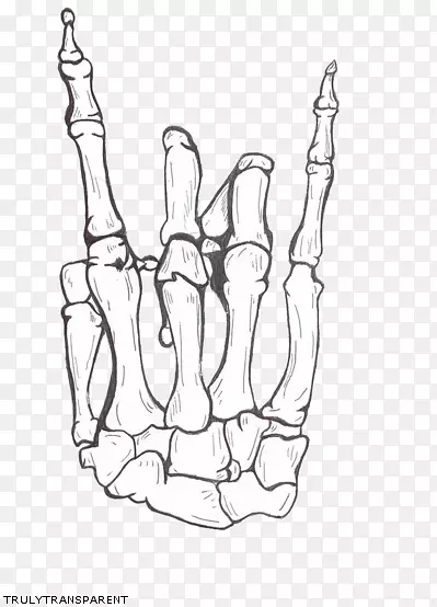 绘制祈祷之手-人类骨骼-骨架