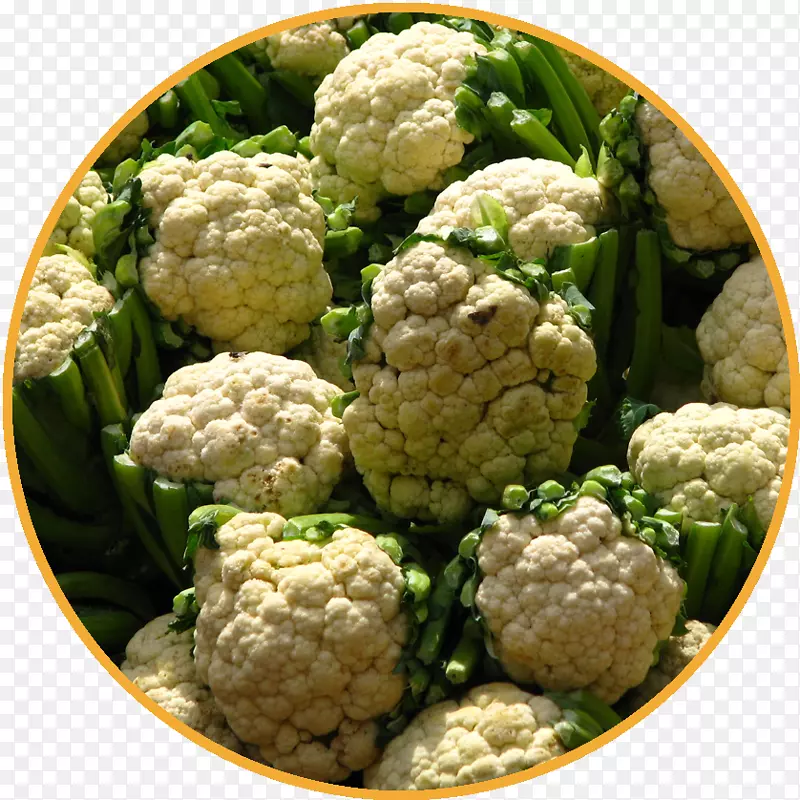 花椰菜十字花科蔬菜西兰花食品花椰菜