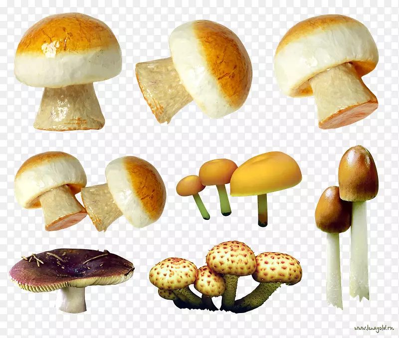 蘑菇包子摄影-蘑菇