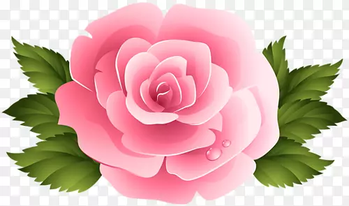 玫瑰花粉红剪贴画-玫瑰