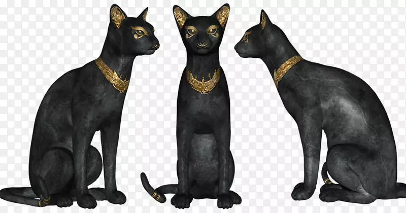 黑猫孟买猫古埃及金字塔埃及毛亚努比