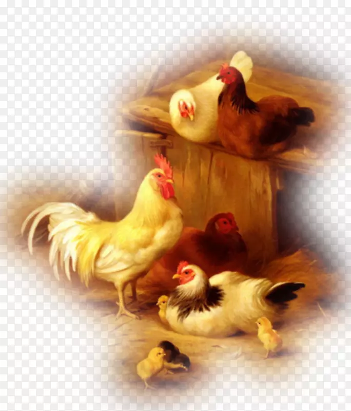 油画复制鸡和小鸡