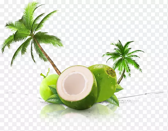 椰子水椰奶泰国料理汁-果汁