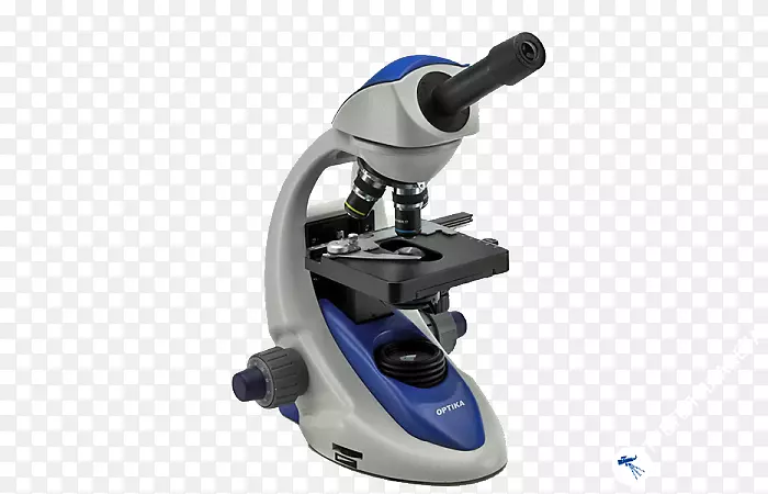 光学显微镜数字显微镜光学显微镜