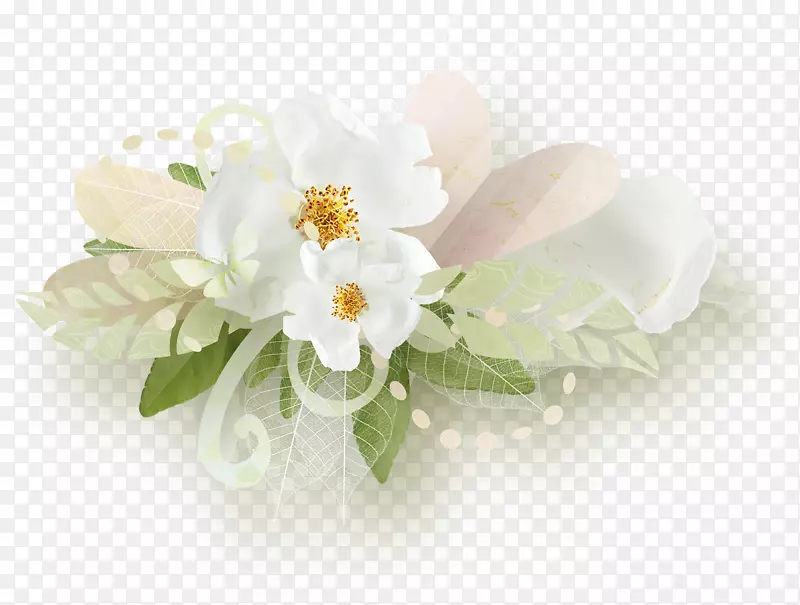 花瓣花玫瑰白夹子艺术-花