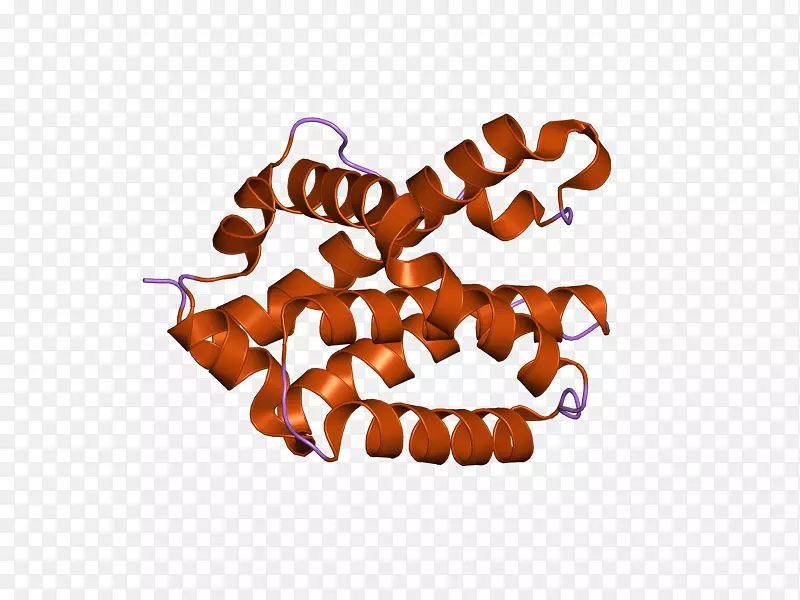bcl-2同源拮抗剂细胞凋亡染色体6基因