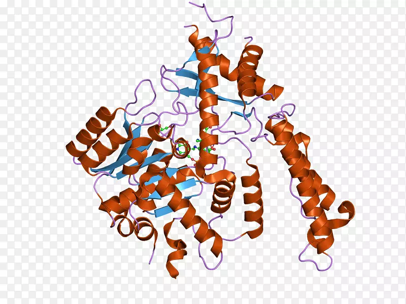 蛋氨酸谷氨酸脱羧酶氨肽酶MetAP2GAD2