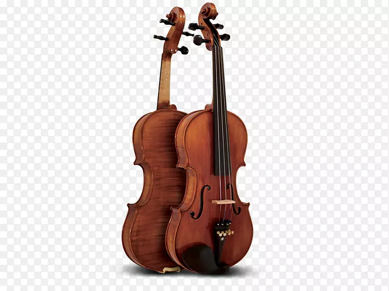 低音小提琴和中提琴低音小提琴