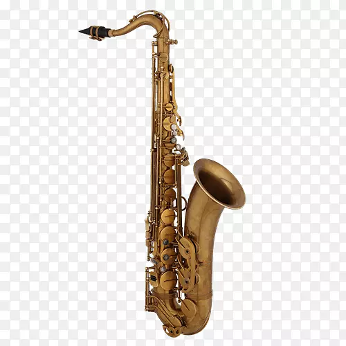 男高音萨克斯管乐器也是萨克斯管