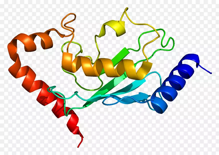ube2b ube2a泛素结合酶ube2j1蛋白