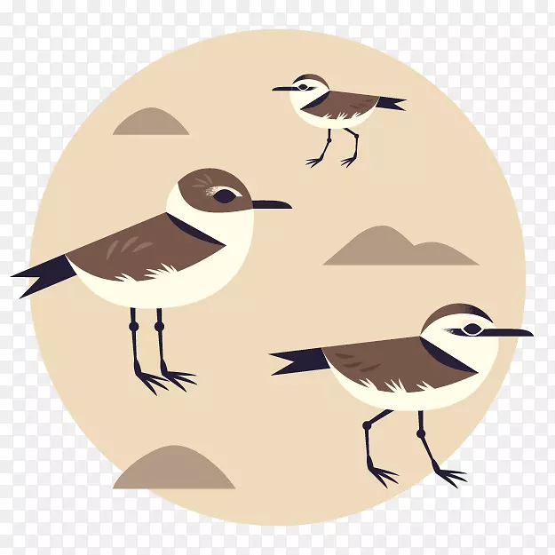 蒙特利湾水族馆鸟黑颈高跷鸟