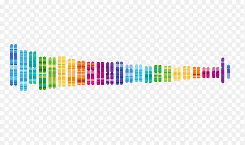 人类基因组计划23和Me基因测试遗传学遗传谱系