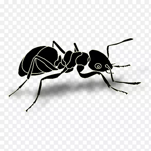 黑花园蚂蚁昆虫剪贴画-昆虫