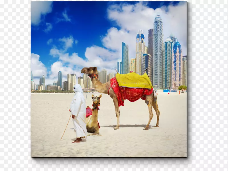 迪拜阿布扎比旅游酒店海滩-迪拜