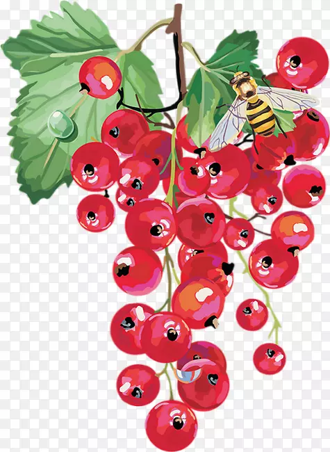 红浆果