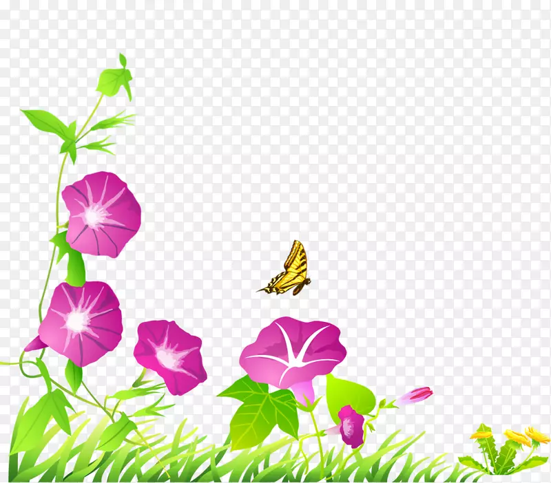 罗布麻，紫花，长春花