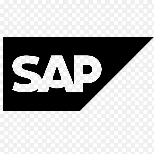 SAP erp sap se计算机图标sap hana
