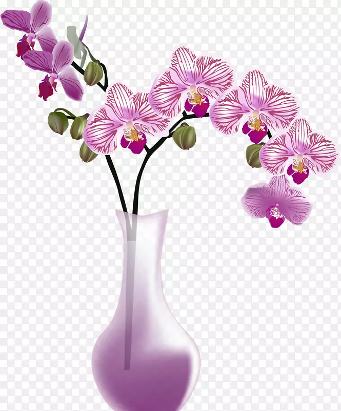 花瓶兰花剪贴画-花