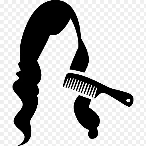 美容院头发护理电脑图标黑发