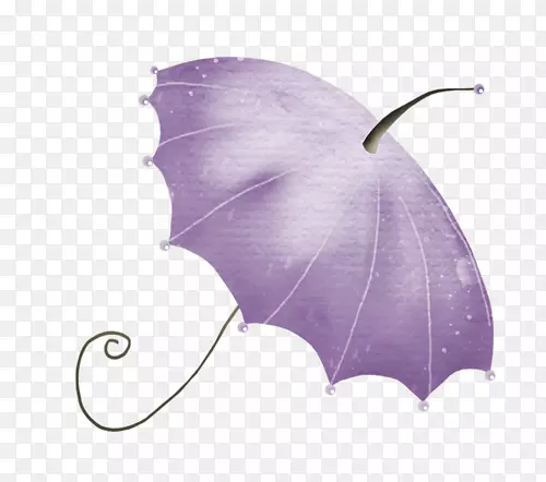 雨伞封装的后记雨伞