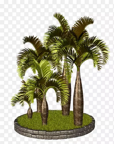 亚洲棕榈、槟榔科、风景画、剪贴画树