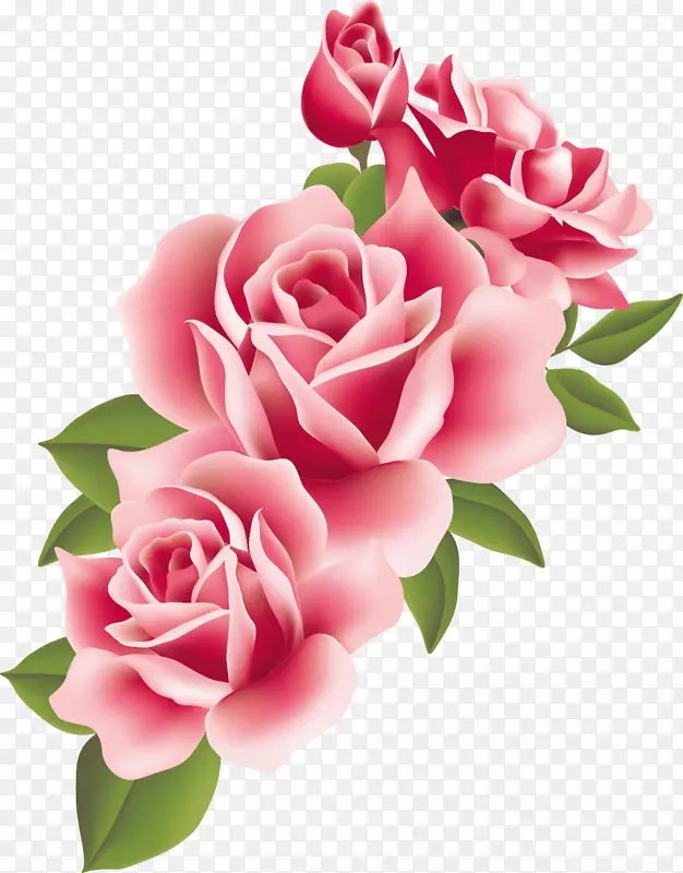 花园玫瑰、蜈蚣玫瑰、花卉图案、粉红色花