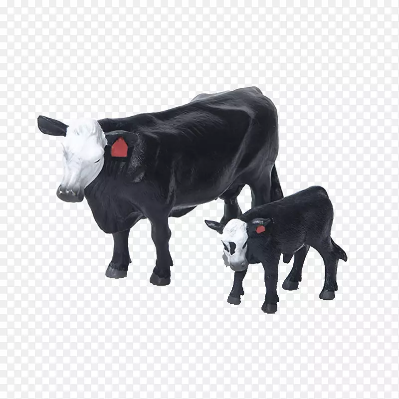 奶牛，安格斯牛，赫里福德牛，小牛，红安格斯牛