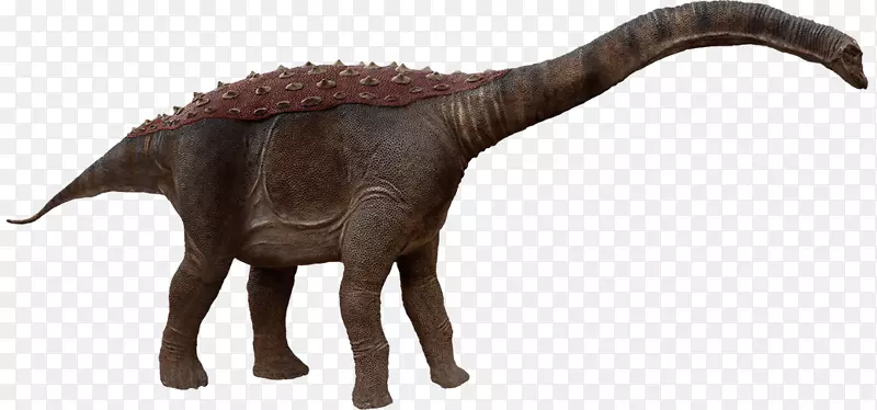 萨尔塔龙恐龙晚白垩世蜥脚类恐龙-恐龙