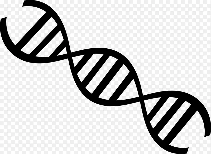 医学生物学DNA遗传学-科学