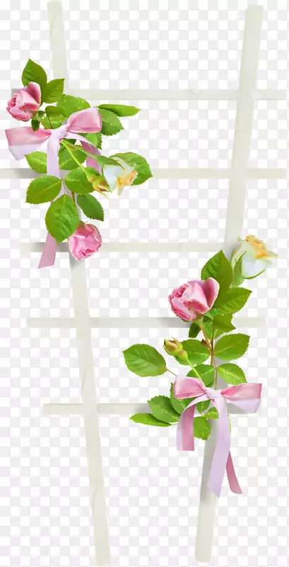 花卉花园玫瑰剪贴画-花卉