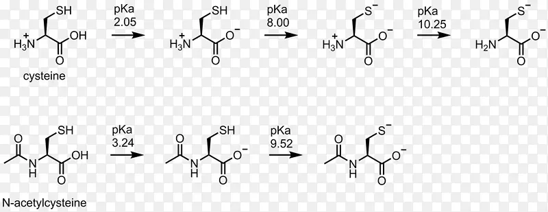 半胱氨酸蛋氨酸脱质子化硫醇PKA
