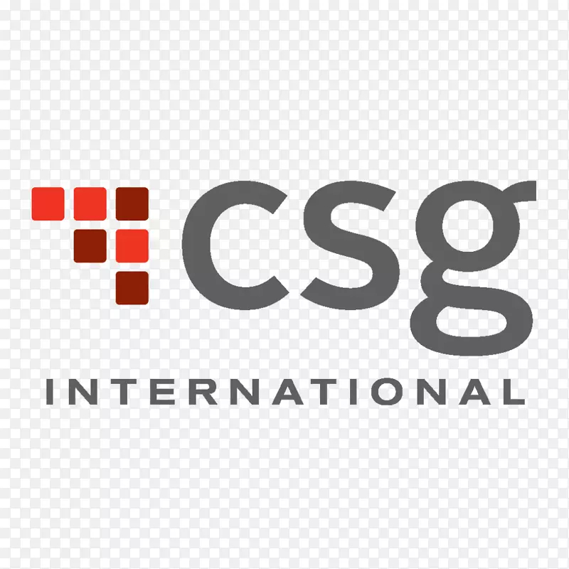 CSG国际公司组织业务服务