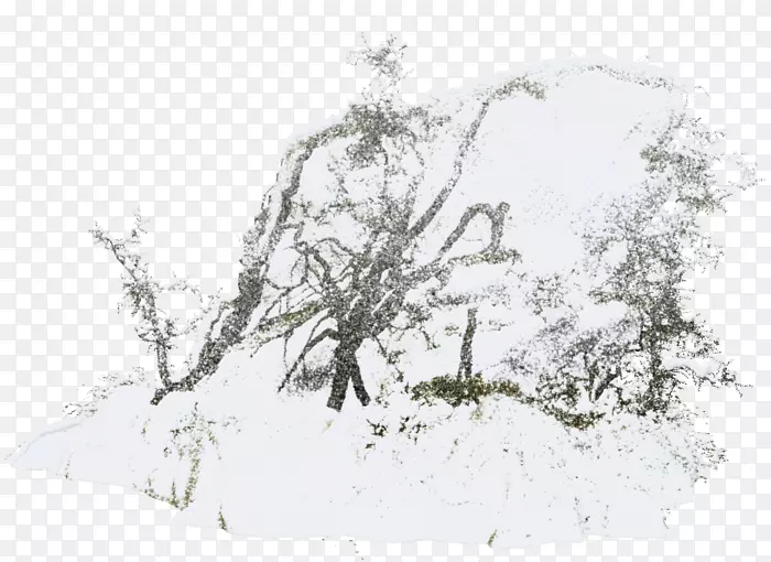 树枝雪树剪贴画-雪